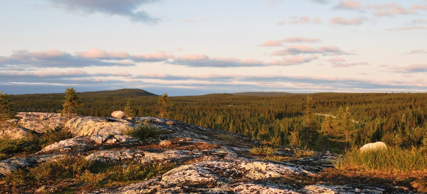 Terrane de la Baie d'Hudson