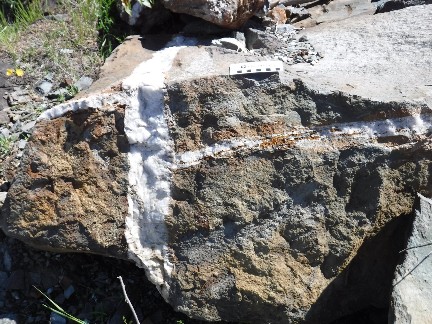 Veine de quartz-tourmaline aurifère, indice Vénus, Formation de Landrienne
