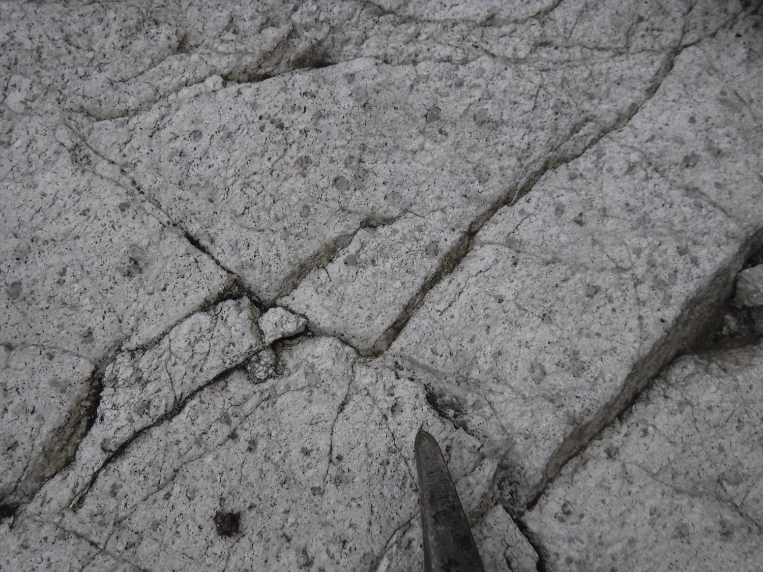 Tonalite, Pluton de Carpentier (nAcrp)