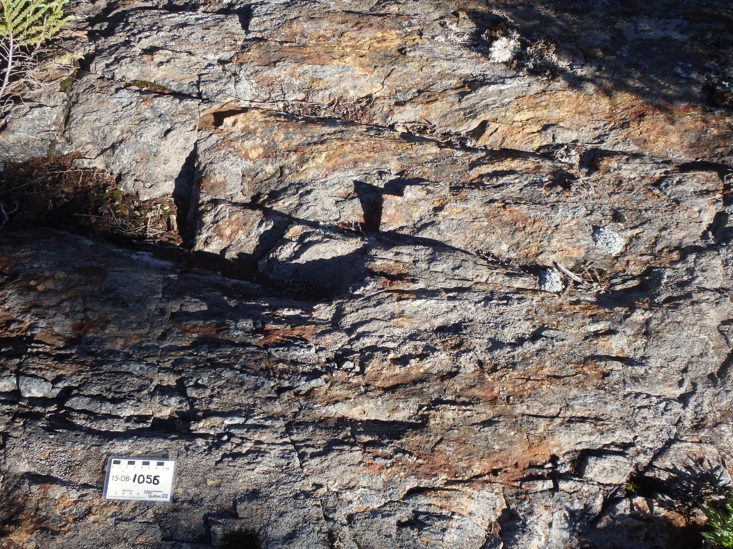 Indice Lac Véronneau. Corridor de déformation dans les basaltes du Groupe de Colomb-Chaboullié (nAcch1). Veine aurifère en bas à gauche. Affleurement 15-DB-1056.