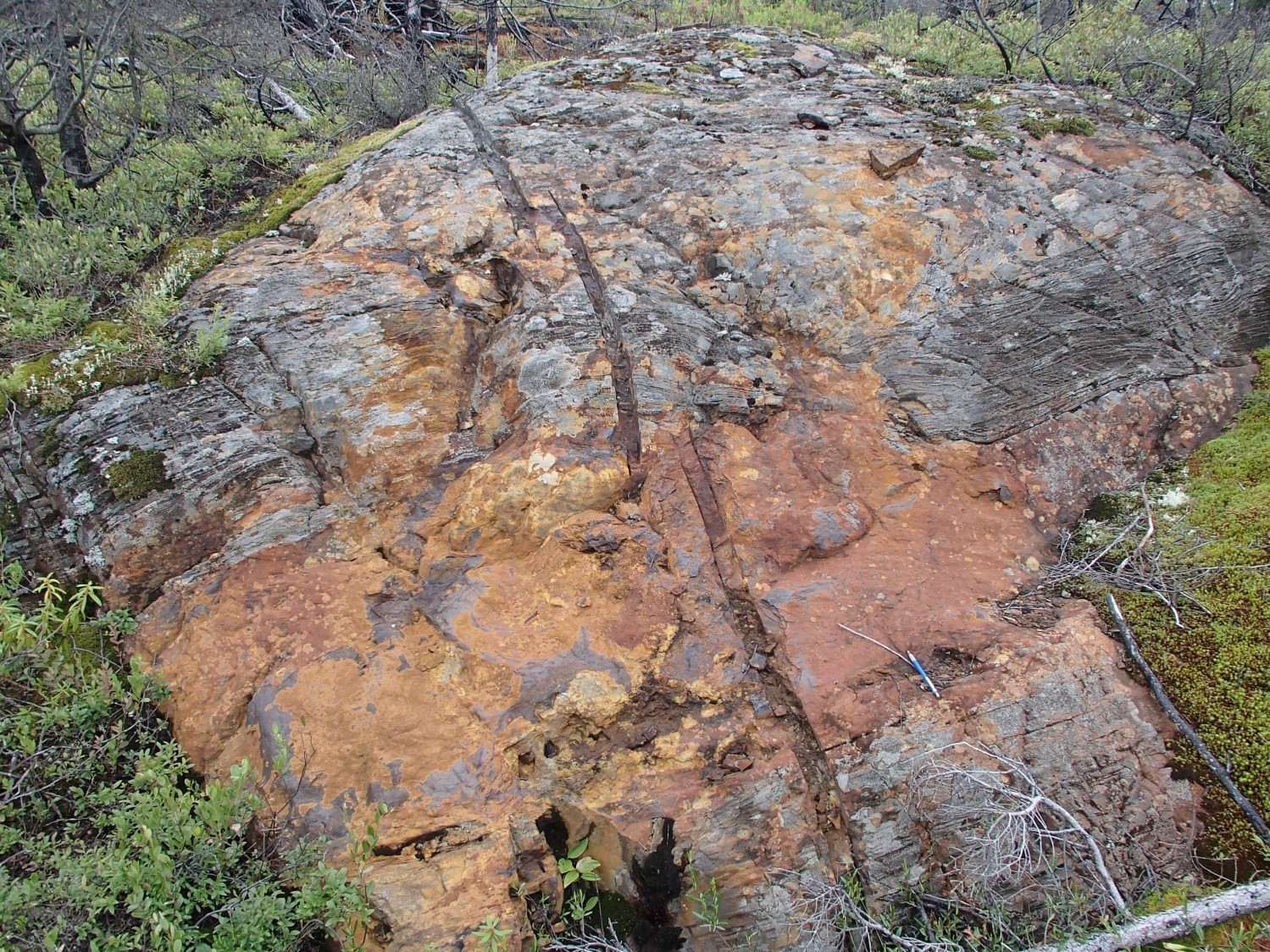 Indice Lac Marcaut. Lentille de sulfures semi-massifs dans des basaltes du Groupe de Colomb-Chaboullié (nAcch1). Affleurement 15-SB-4140.