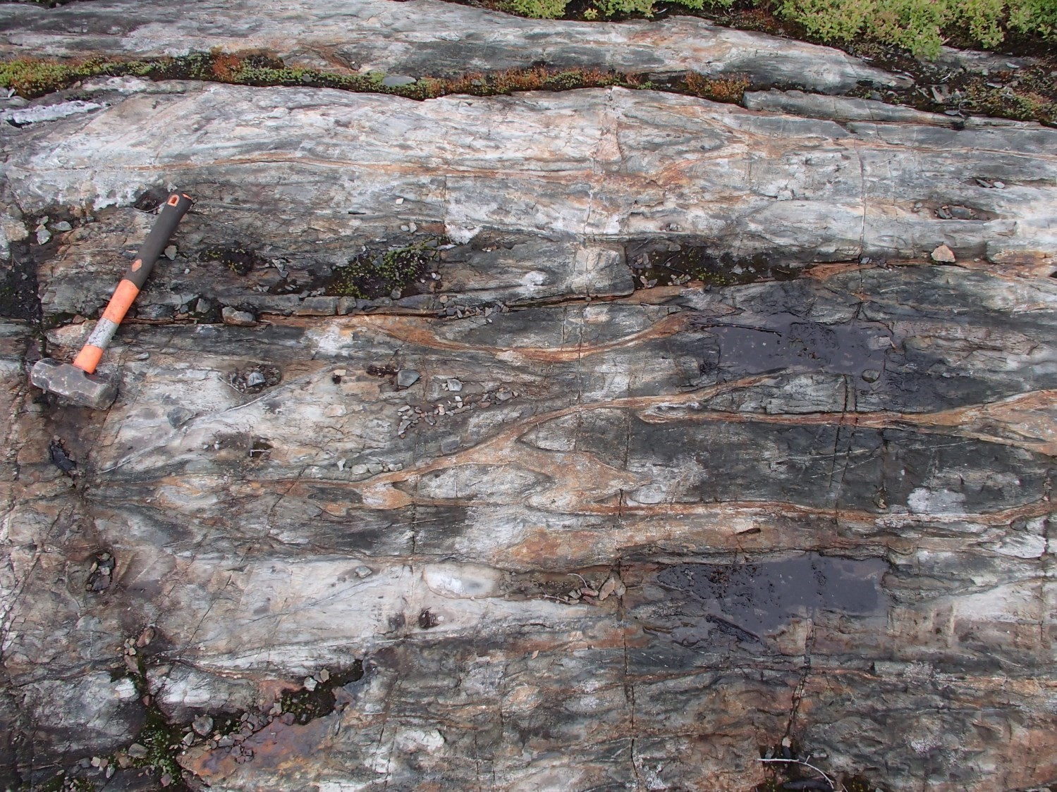 Indice Lac Marcaut. Basaltes coussinés du Groupe de Colomb-Chaboullié (nAcch1), avec remplacement du matériel hyaloclastique des bordures de coussin par de la pyrite. Affleurement 15-SB-4140.