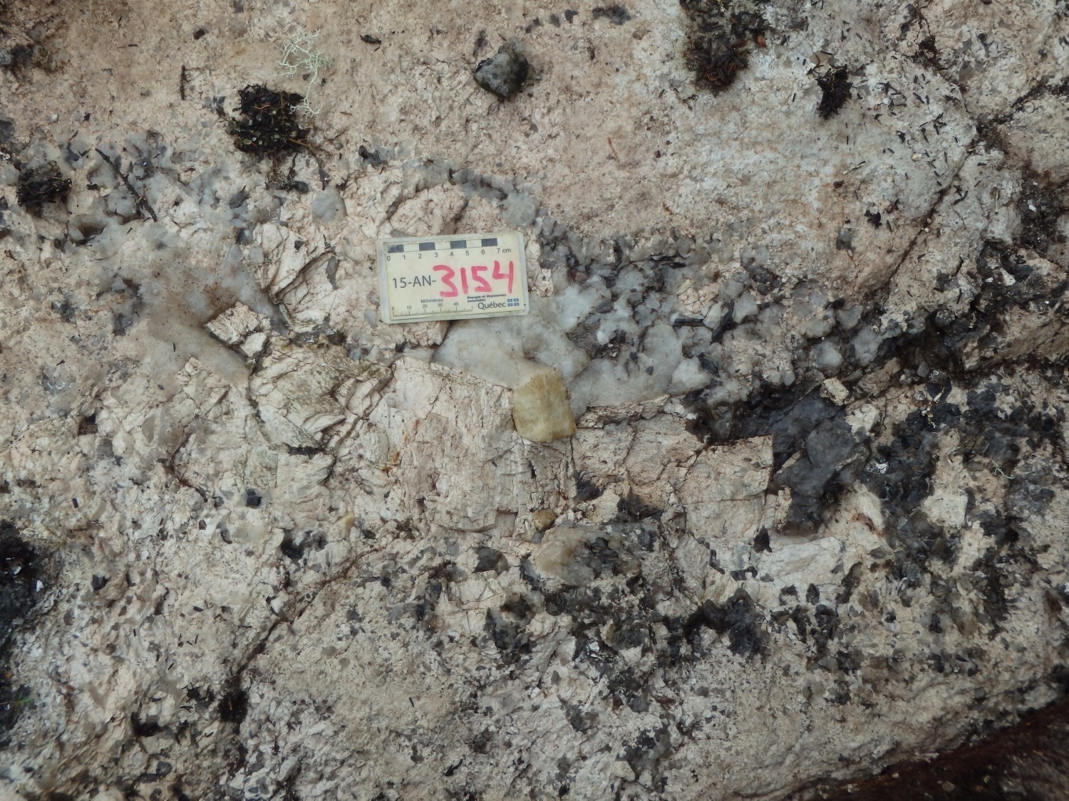 Pegmatite de la Suite de Mézières (nAmzr) avec cristal de béryl au centre. Affleurement 15-AN-3154.