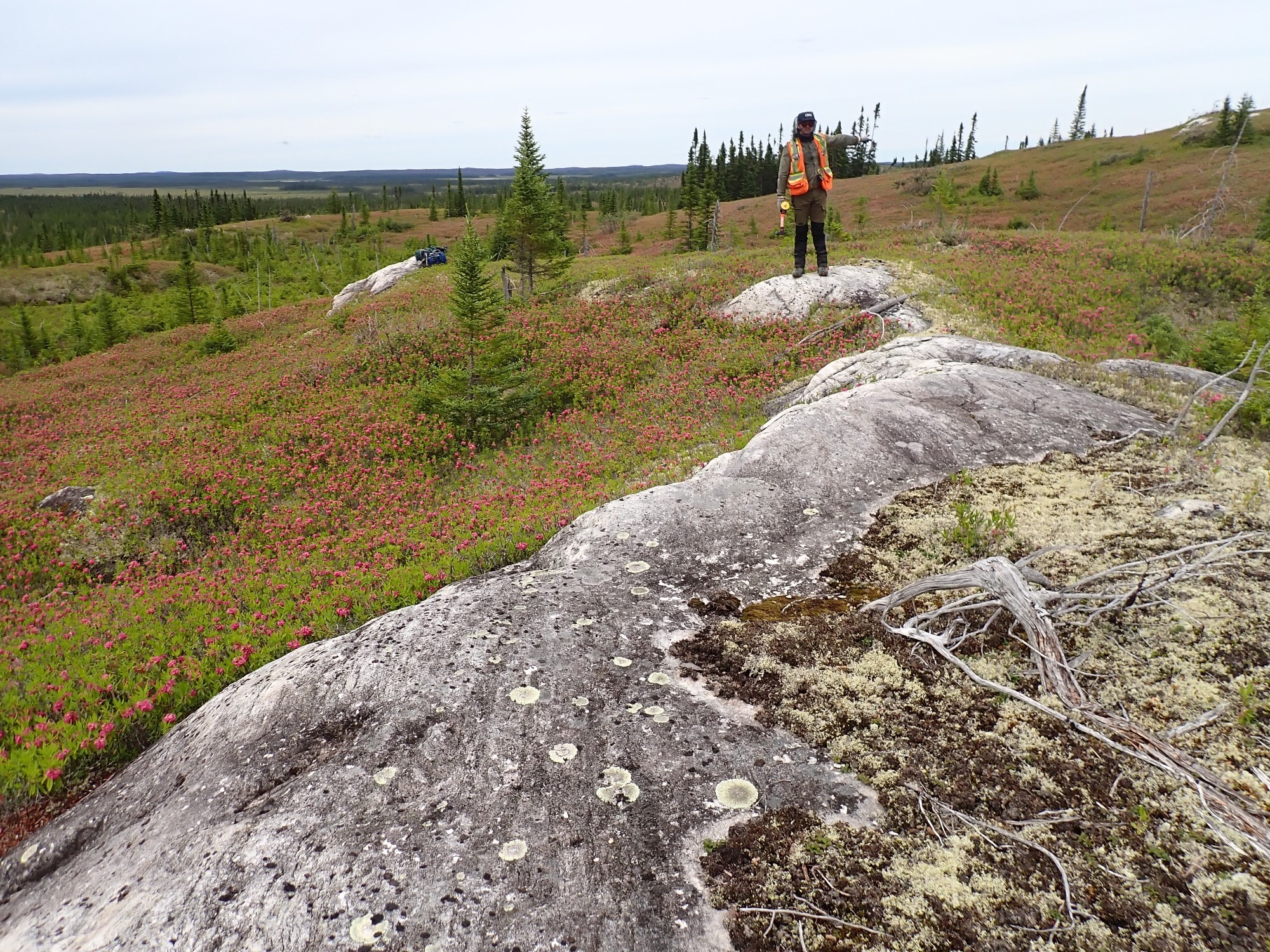 BG 2025-02 – Comeau